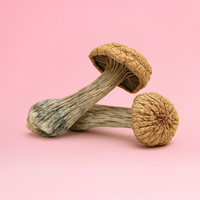 Penis Envy - Image 2