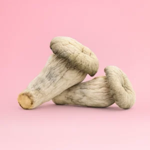 Albino Penis Envy