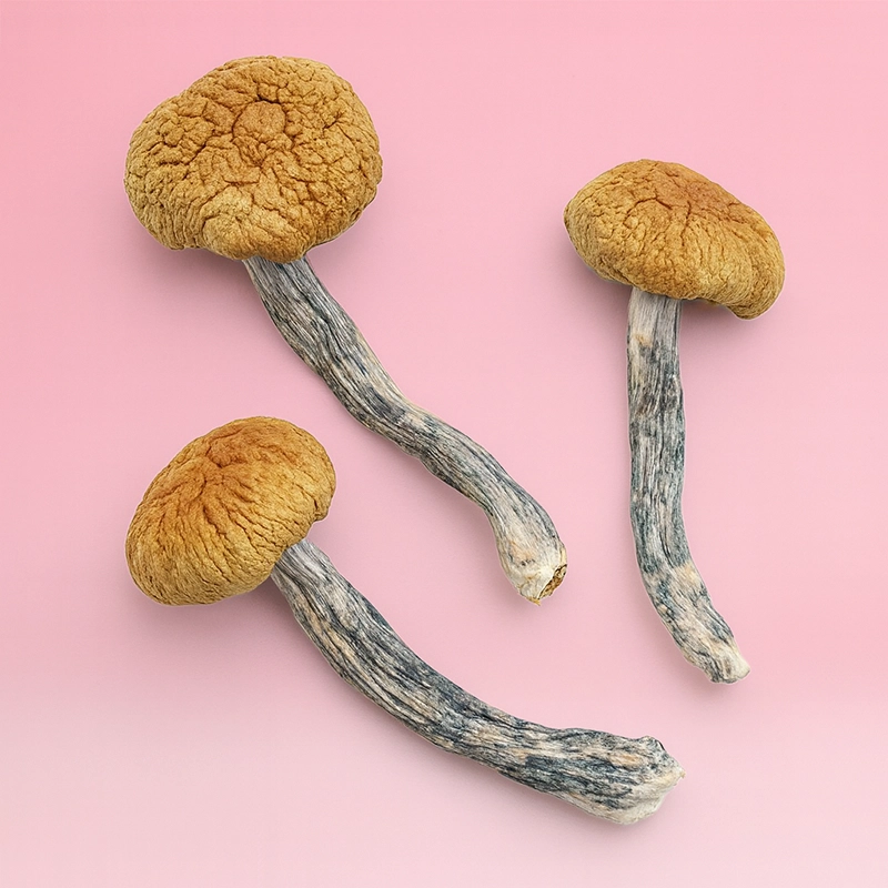 Blue Meanies - Image 2